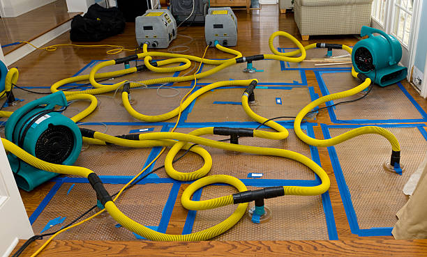 Professional Water Damage Restoration technician working in Springfield, KY